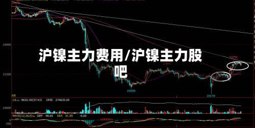 沪镍主力费用/沪镍主力股吧-第2张图片