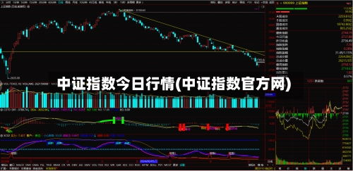 中证指数今日行情(中证指数官方网)-第3张图片