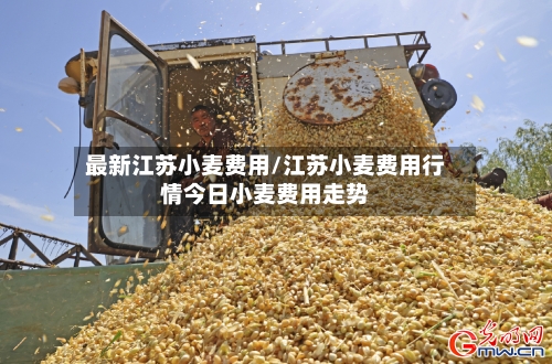 最新江苏小麦费用/江苏小麦费用行情今日小麦费用走势-第3张图片