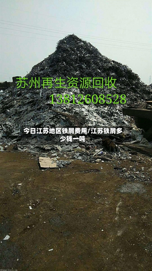 今日江苏地区铁屑费用/江苏铁屑多少钱一吨-第3张图片