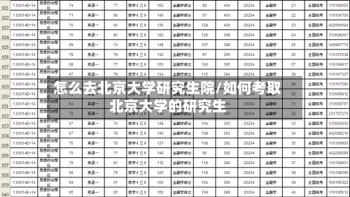 怎么去北京大学研究生院/如何考取北京大学的研究生-第2张图片