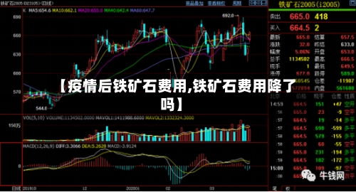 【疫情后铁矿石费用,铁矿石费用降了吗】