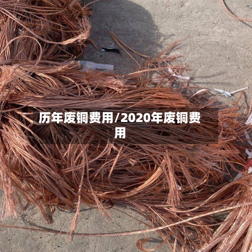 历年废铜费用/2020年废铜费用-第2张图片