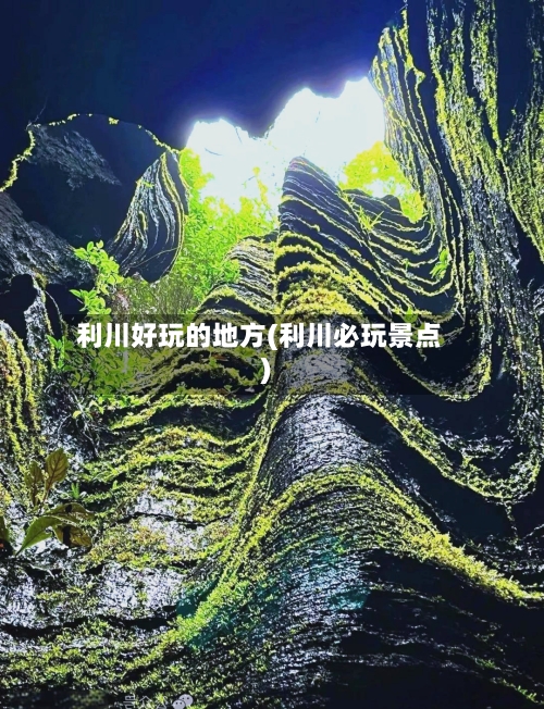 利川好玩的地方(利川必玩景点)-第2张图片