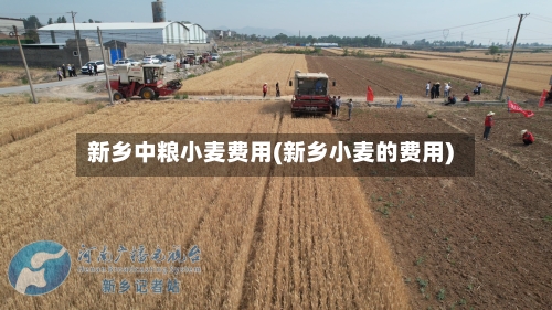 新乡中粮小麦费用(新乡小麦的费用)-第2张图片
