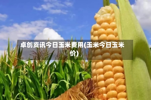 卓创资讯今日玉米费用(玉米今日玉米价)