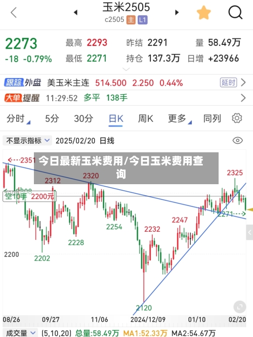 今日最新玉米费用/今日玉米费用查询-第3张图片