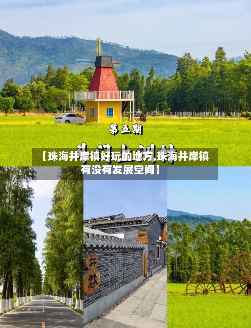 【珠海井岸镇好玩的地方,珠海井岸镇有没有发展空间】-第3张图片