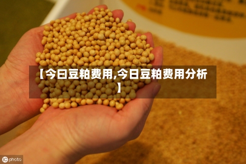 【今曰豆粕费用,今日豆粕费用分析】-第2张图片