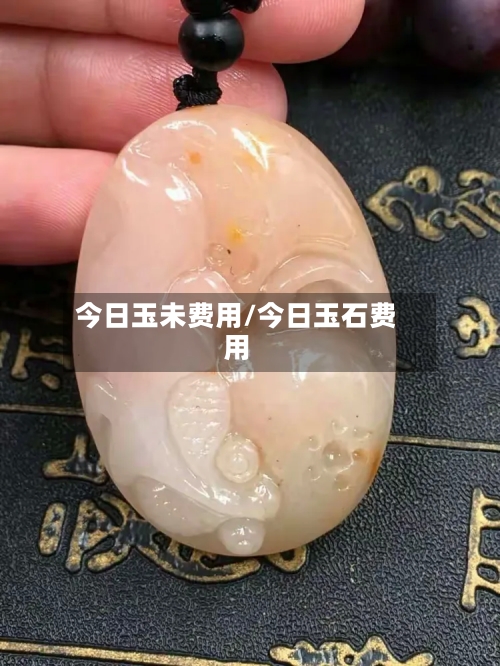 今日玉未费用/今日玉石费用-第3张图片