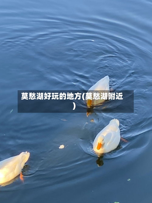 莫愁湖好玩的地方(莫愁湖附近)