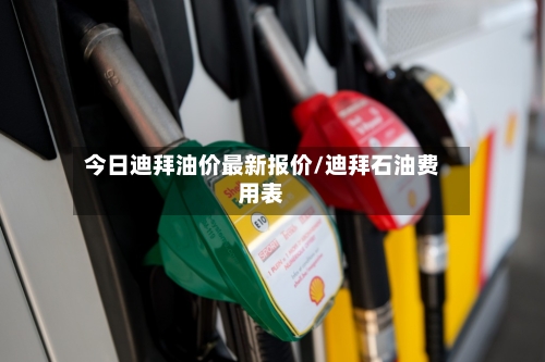 今日迪拜油价最新报价/迪拜石油费用表