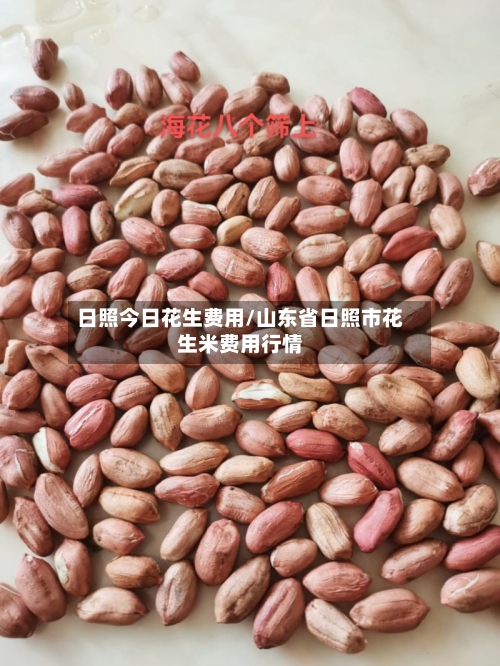 日照今日花生费用/山东省日照市花生米费用行情-第1张图片