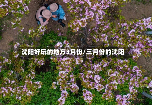 沈阳好玩的地方3月份/三月份的沈阳