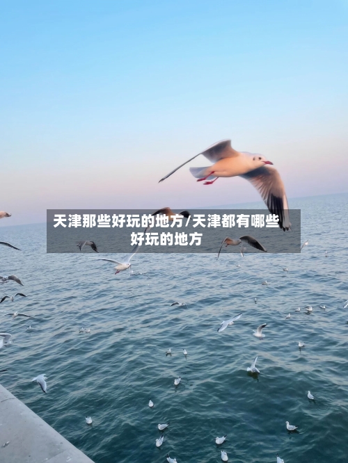 天津那些好玩的地方/天津都有哪些好玩的地方-第2张图片