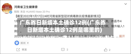 广东昨日新增本土确诊12例(广东昨日新增本土确诊12例是哪里的)-第2张图片