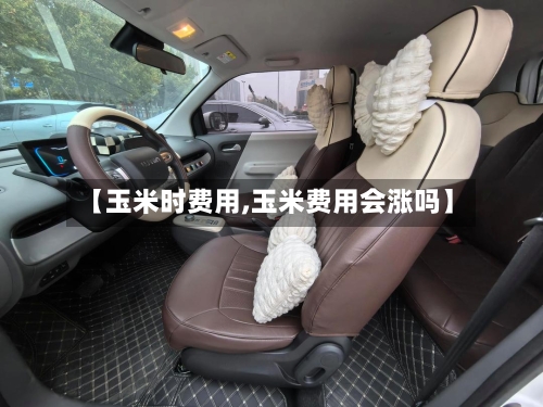 【玉米时费用,玉米费用会涨吗】