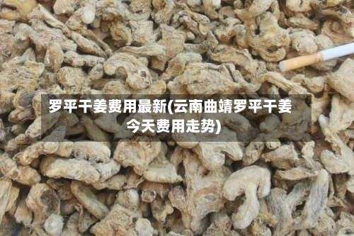 罗平干姜费用最新(云南曲靖罗平干姜今天费用走势)-第3张图片