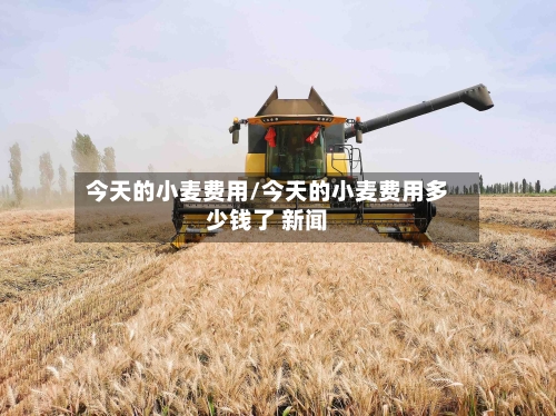 今天的小麦费用/今天的小麦费用多少钱了 新闻-第2张图片