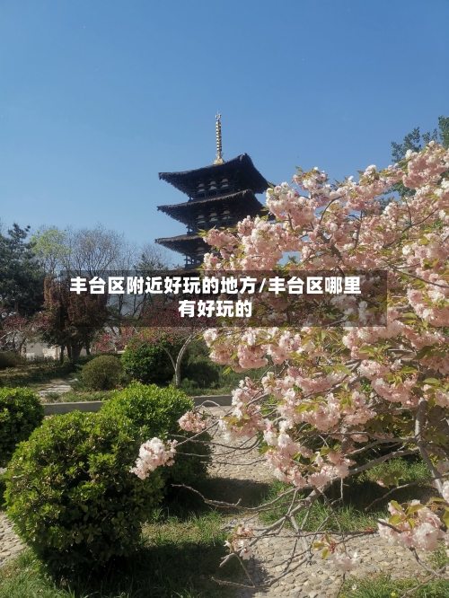 丰台区附近好玩的地方/丰台区哪里有好玩的-第3张图片