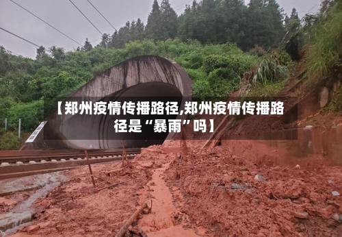 【郑州疫情传播路径,郑州疫情传播路径是“暴雨”吗】-第3张图片