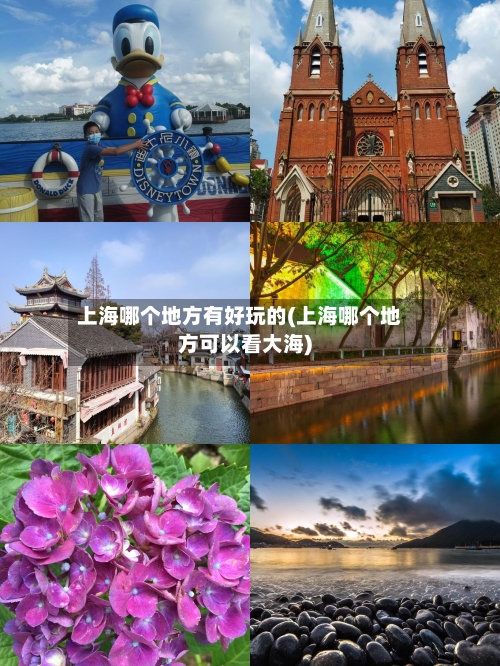 上海哪个地方有好玩的(上海哪个地方可以看大海)