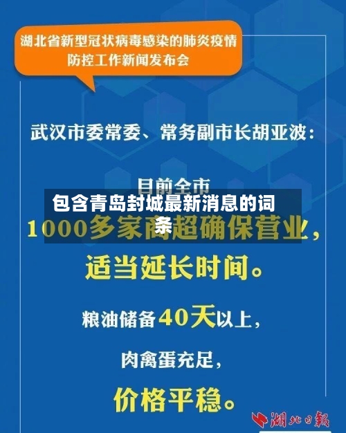 包含青岛封城最新消息的词条-第2张图片