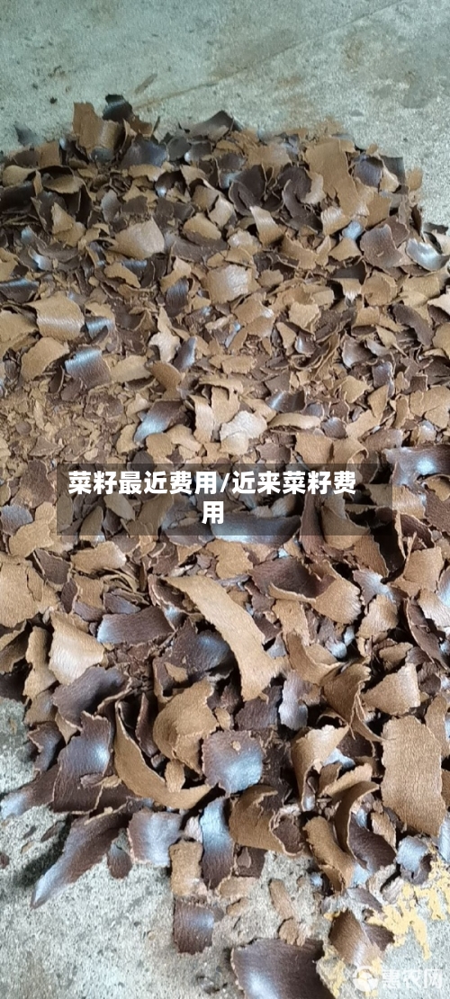 菜籽最近费用/近来菜籽费用