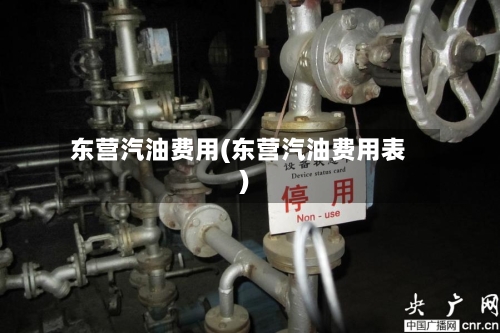 东营汽油费用(东营汽油费用表)-第2张图片