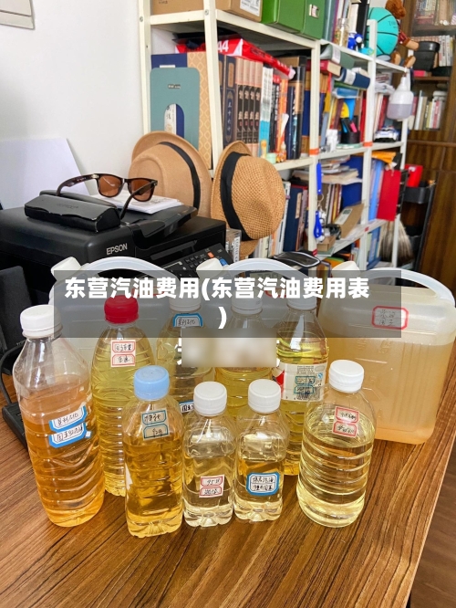 东营汽油费用(东营汽油费用表)