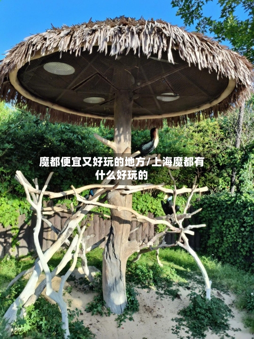 魔都便宜又好玩的地方/上海魔都有什么好玩的