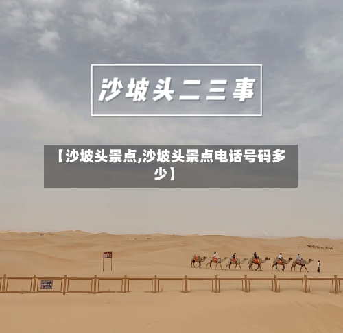 【沙坡头景点,沙坡头景点电话号码多少】