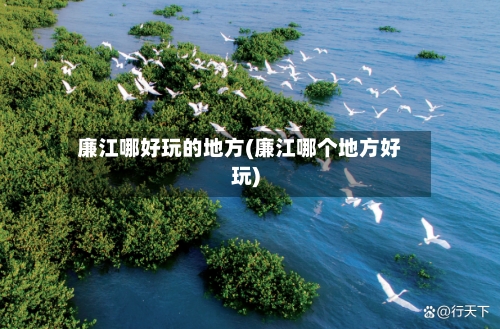 廉江哪好玩的地方(廉江哪个地方好玩)-第2张图片
