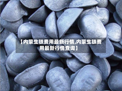 【内蒙生铁费用最新行情,内蒙生铁费用最新行情查询】