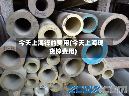 今天上海锌的费用(今天上海现货锌费用)