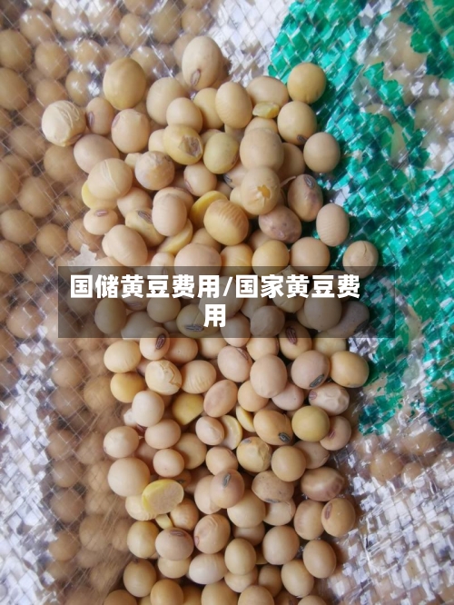国储黄豆费用/国家黄豆费用-第3张图片