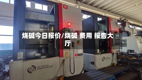 烧碱今日报价/烧碱 费用 报告大厅