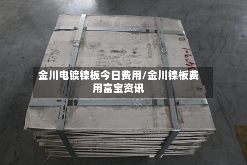 金川电镀镍板今日费用/金川镍板费用富宝资讯-第2张图片