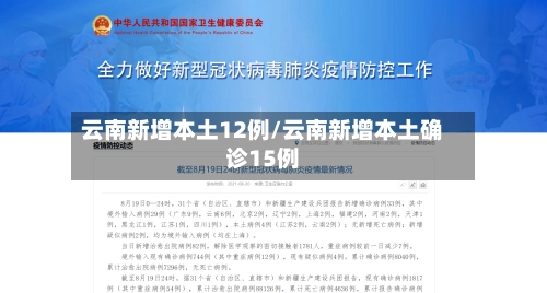 云南新增本土12例/云南新增本土确诊15例-第3张图片