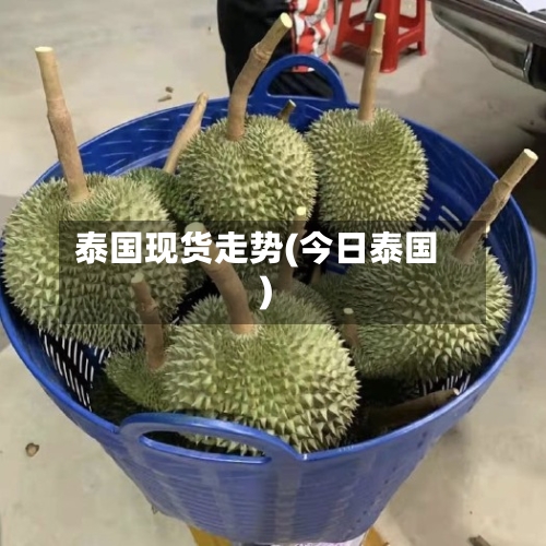 泰国现货走势(今日泰国)-第3张图片