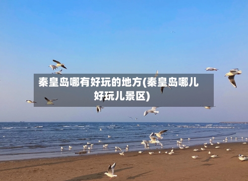 秦皇岛哪有好玩的地方(秦皇岛哪儿好玩儿景区)