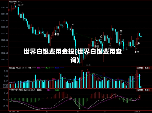 世界白银费用金投(世界白银费用查询)-第2张图片