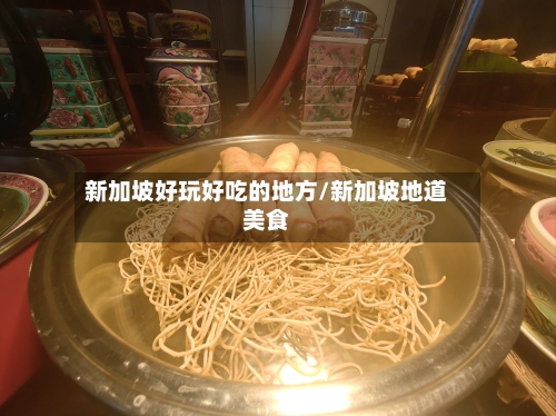 新加坡好玩好吃的地方/新加坡地道美食-第2张图片