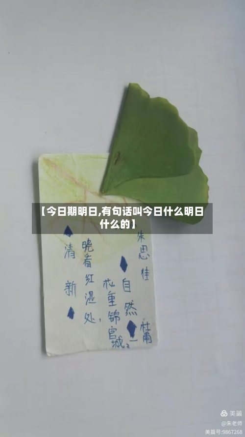 【今日期明日,有句话叫今日什么明日什么的】-第2张图片
