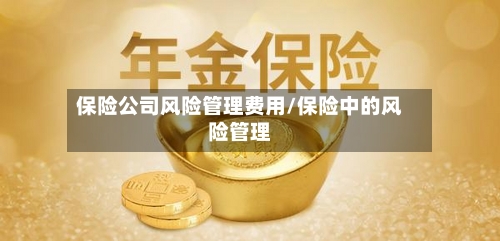 保险公司风险管理费用/保险中的风险管理-第2张图片