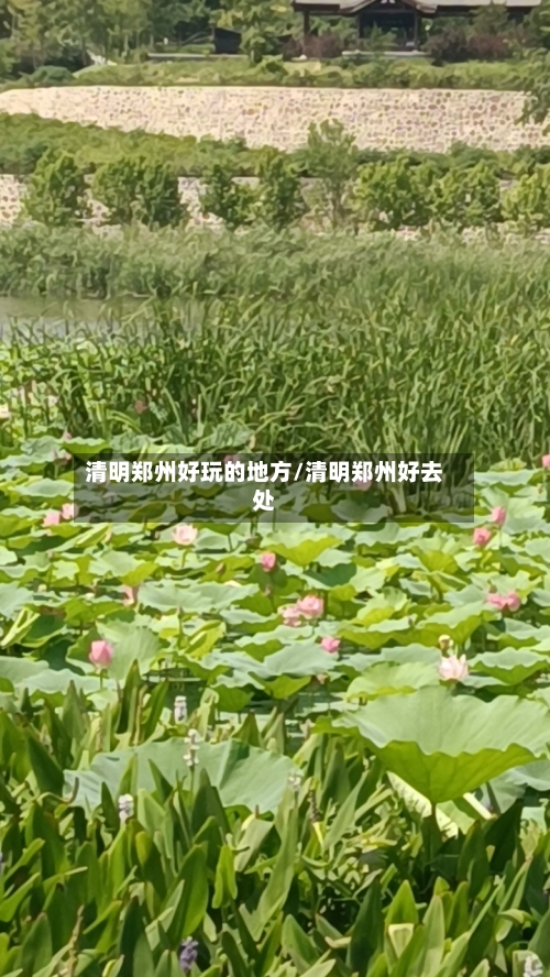 清明郑州好玩的地方/清明郑州好去处-第3张图片