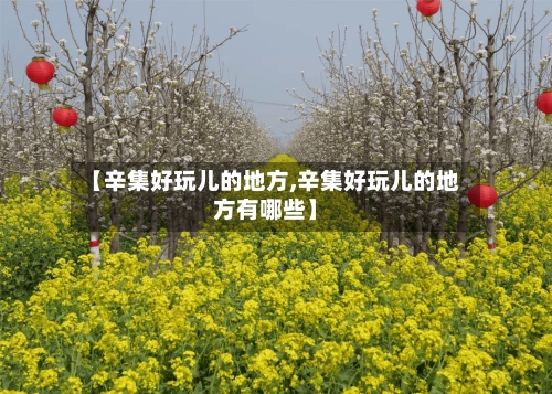 【辛集好玩儿的地方,辛集好玩儿的地方有哪些】