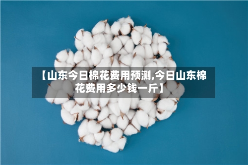 【山东今日棉花费用预测,今日山东棉花费用多少钱一斤】-第2张图片