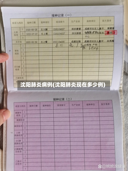 沈阳肺炎病例(沈阳肺炎现在多少例)-第3张图片