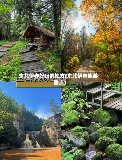 东北伊春好玩的地方(东北伊春旅游景点)-第2张图片